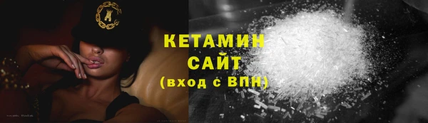 прущие грибы Балахна