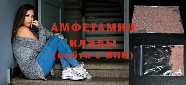 прущие грибы Балахна