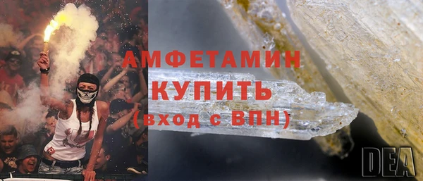 прущие грибы Балахна